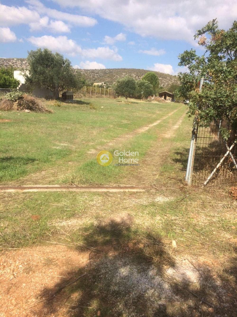 Parcel in Agia Marina, Koropi — Photo 3 of 4