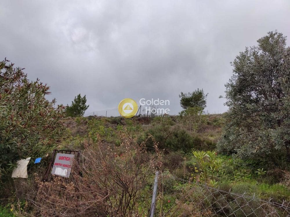 Building Plot in Neapoli, Spata — Photo 3 of 4