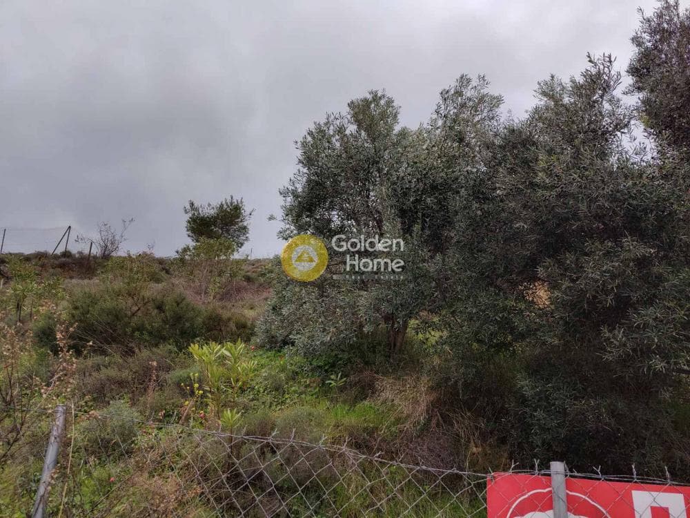 Building Plot in Neapoli, Spata — Photo 4 of 4