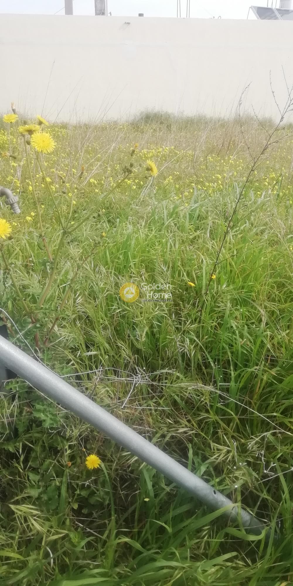 Οικόπεδο στην Άνω Καλέσια, Τέμενος — Φωτογραφία 4 από 11