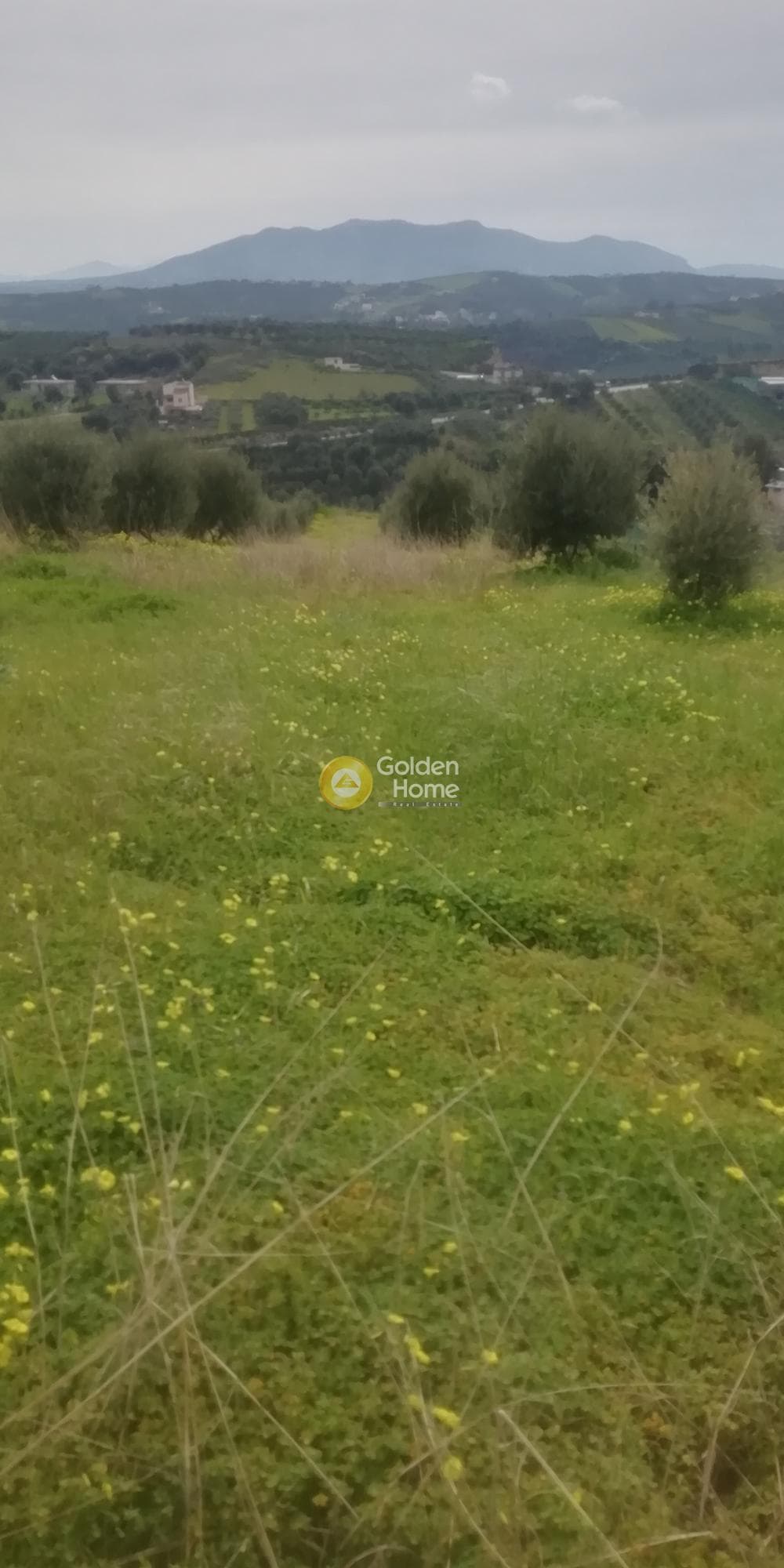 Οικόπεδο στην Άνω Καλέσια, Τέμενος — Φωτογραφία 8 από 11
