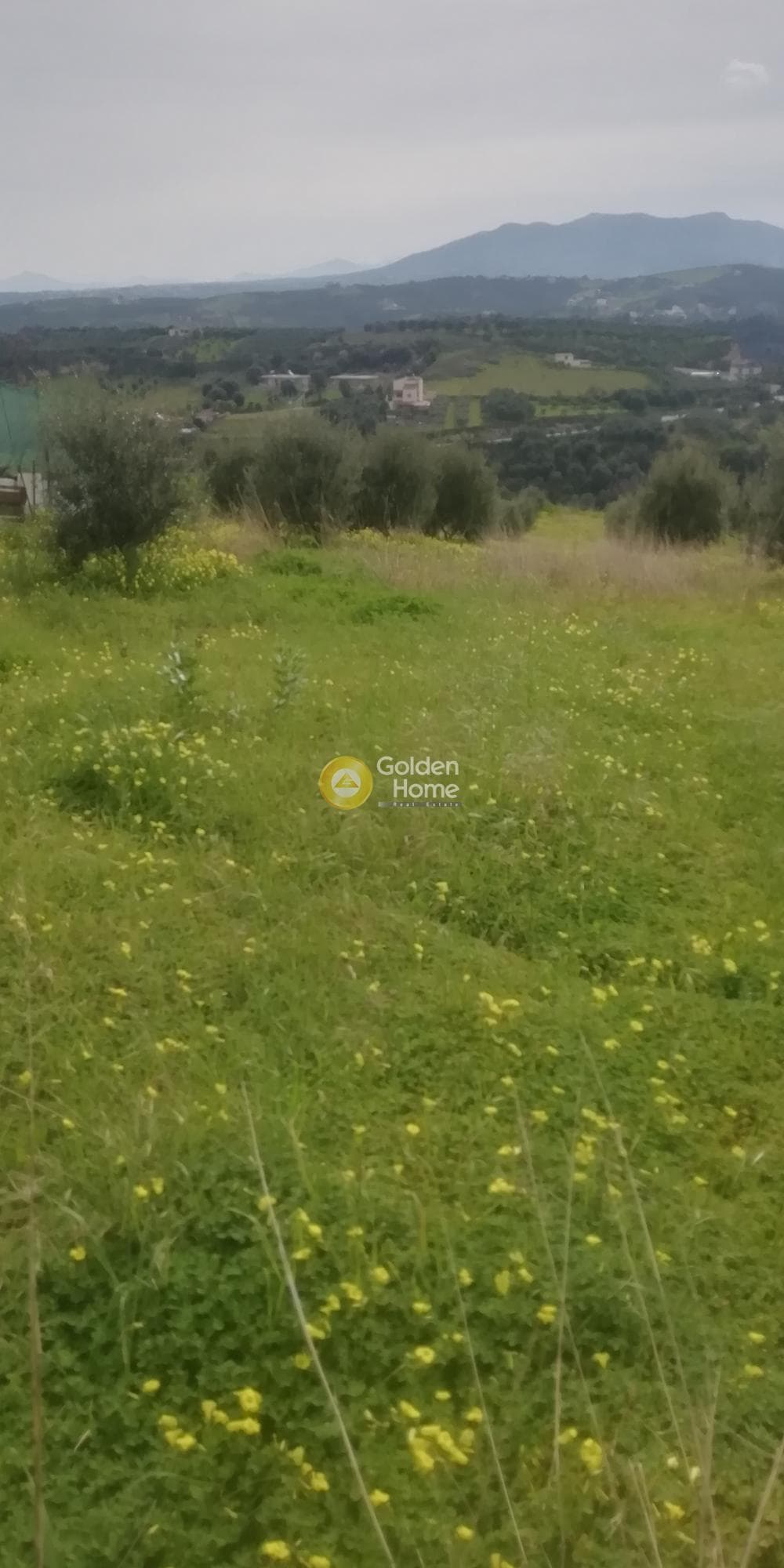 Οικόπεδο στην Άνω Καλέσια, Τέμενος — Φωτογραφία 9 από 11