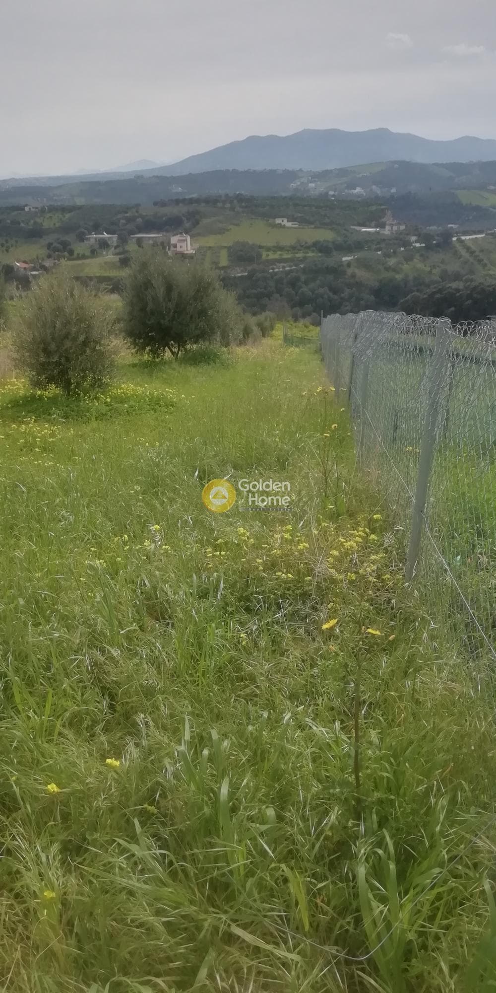 Οικόπεδο στην Άνω Καλέσια, Τέμενος — Φωτογραφία 5 από 11