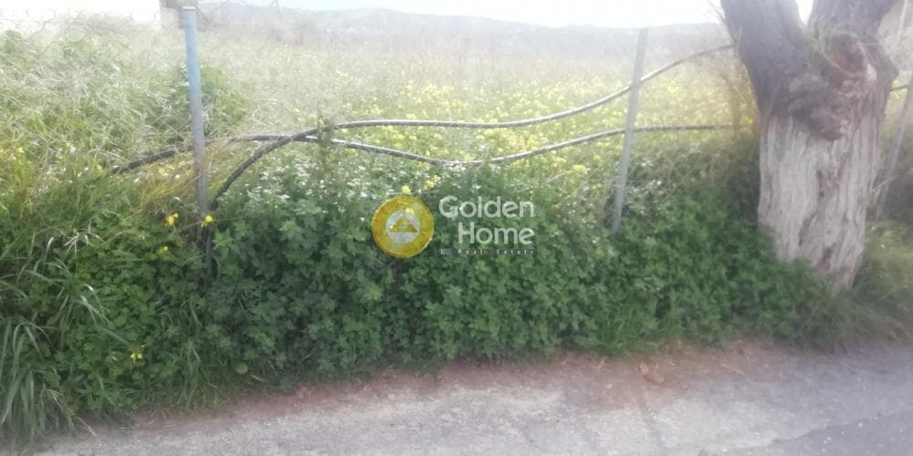 Οικόπεδο στην Άνω Καλέσια, Τέμενος — Φωτογραφία 11 από 11