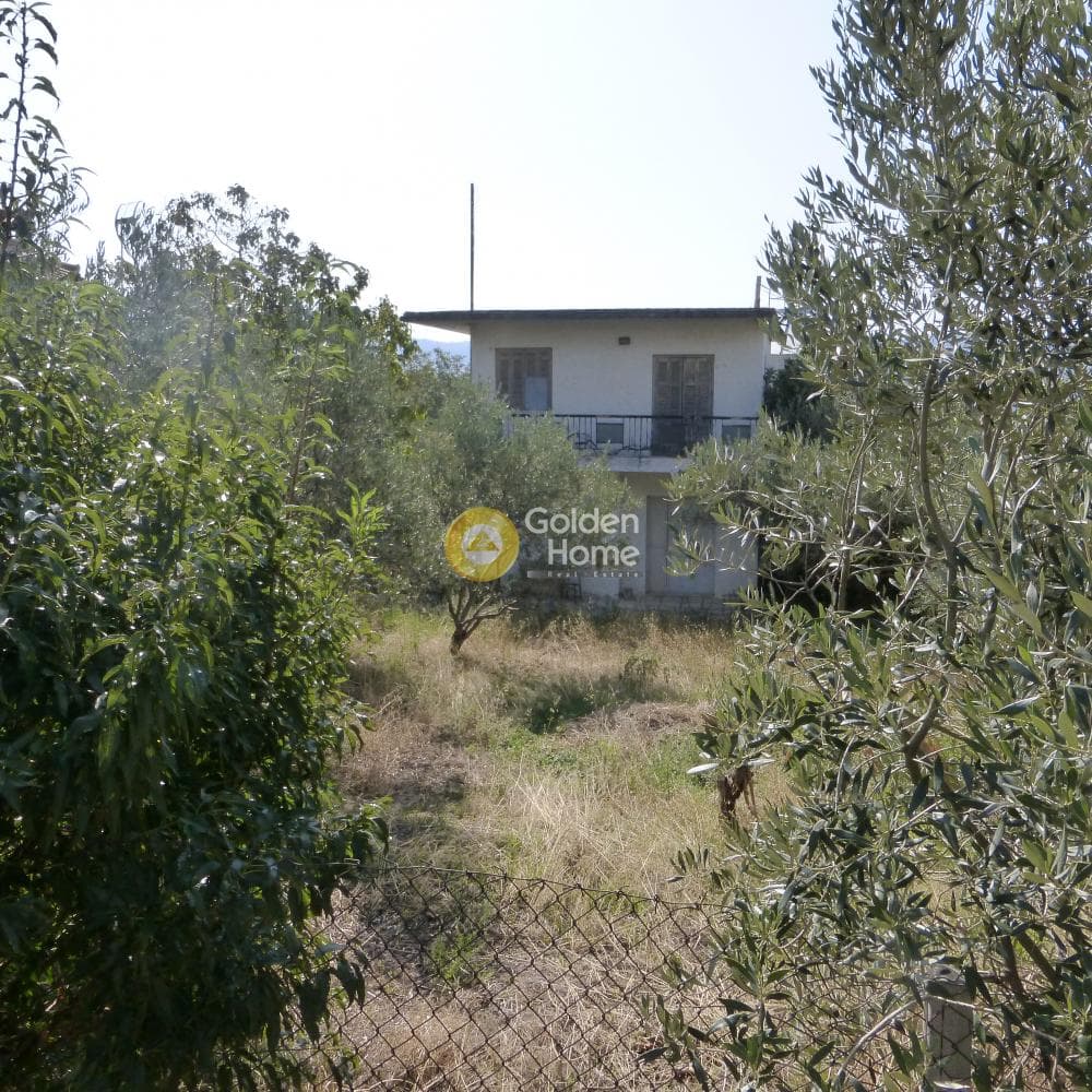 Μονοκατοικία στην Γαλάτιστα, Ανθεμούντας — Φωτογραφία 1 από 8