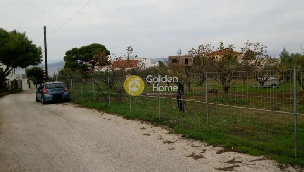 Οικόπεδο στην Θερμά, Αίγινα — Φωτογραφία 3 από 16