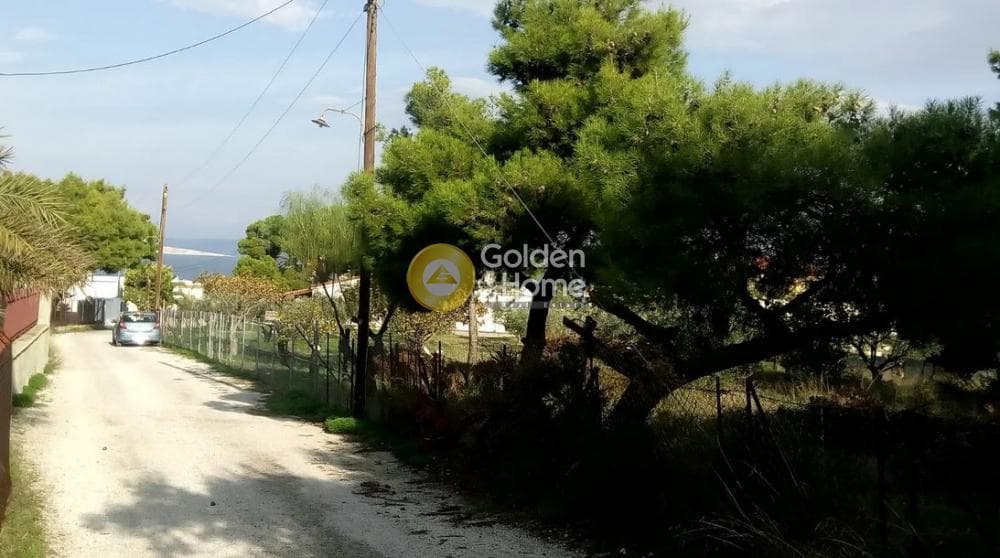 Οικόπεδο στην Θερμά, Αίγινα — Φωτογραφία 4 από 16