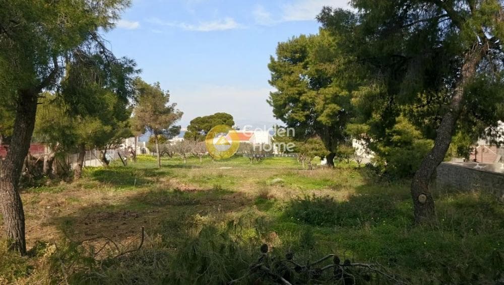 Οικόπεδο στην Θερμά, Αίγινα — Φωτογραφία 1 από 16
