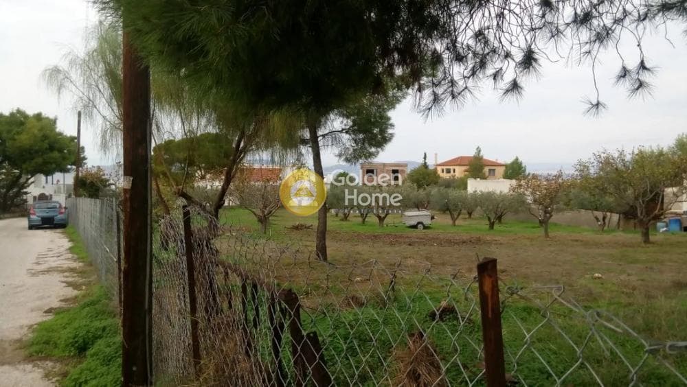 Οικόπεδο στην Θερμά, Αίγινα — Φωτογραφία 9 από 16