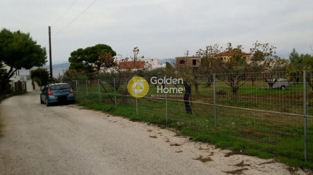 Οικόπεδο στην Θερμά, Αίγινα — Φωτογραφία 10 από 16