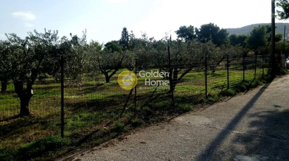 Οικόπεδο στην Θερμά, Αίγινα — Φωτογραφία 13 από 16