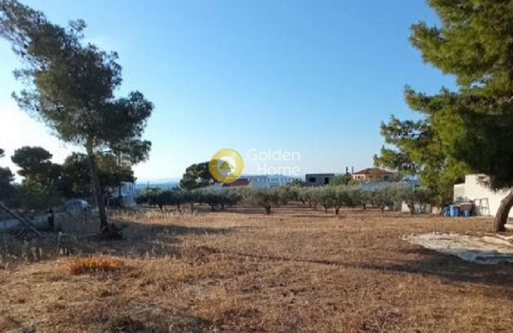 Οικόπεδο στην Θερμά, Αίγινα — Φωτογραφία 15 από 16