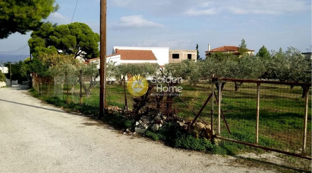 Building Plot in Therma, Aegina — Photo 3 of 16