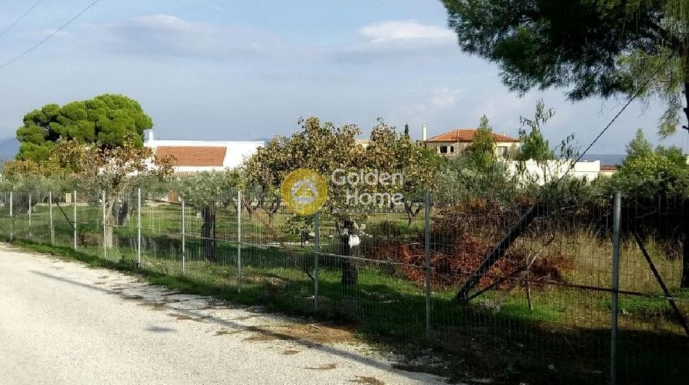 Building Plot in Therma, Aegina — Photo 15 of 16