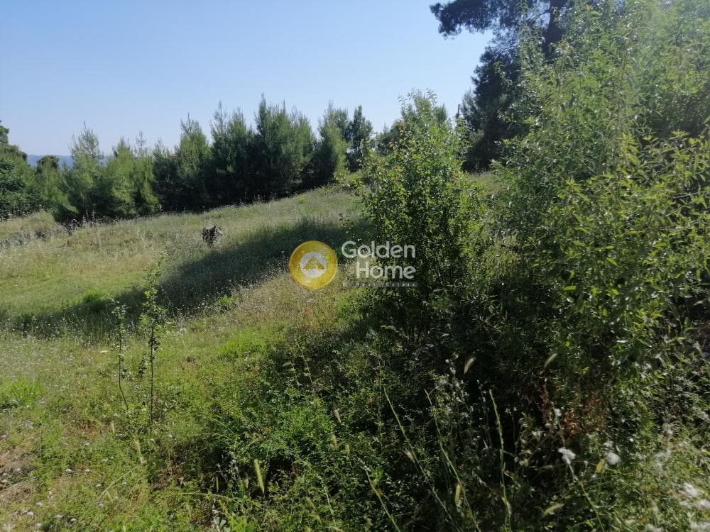 Building Plot in Agia Paraskevi, Agios Stefanos — Photo 6 of 7
