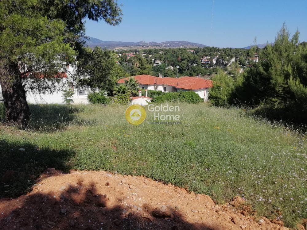 Building Plot in Pefkofito, Agios Stefanos — Photo 2 of 9