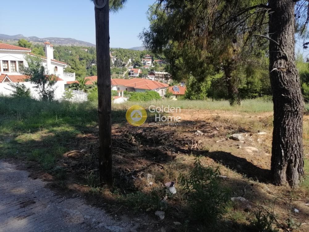 Building Plot in Pefkofito, Agios Stefanos — Photo 3 of 9
