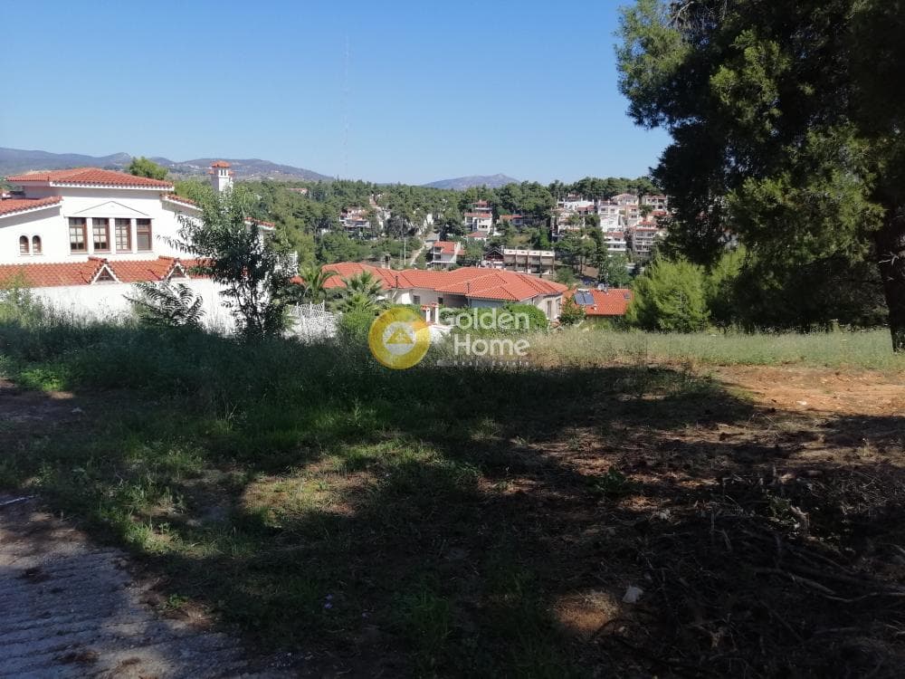 Building Plot in Pefkofito, Agios Stefanos — Photo 4 of 9