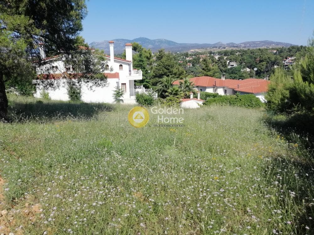 Building Plot in Pefkofito, Agios Stefanos — Photo 5 of 9