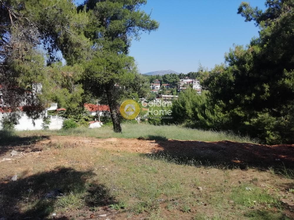 Building Plot in Pefkofito, Agios Stefanos — Photo 7 of 9