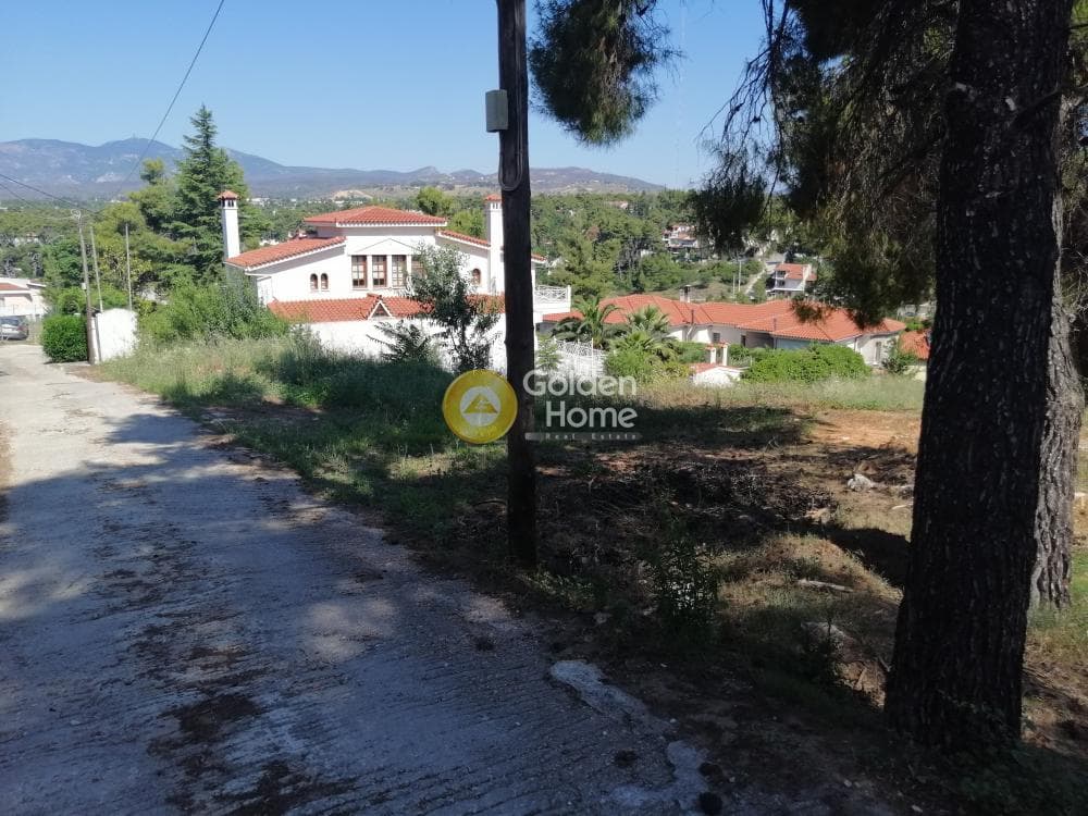 Building Plot in Pefkofito, Agios Stefanos — Photo 8 of 9