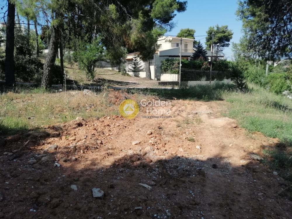 Building Plot in Pefkofito, Agios Stefanos — Photo 9 of 9