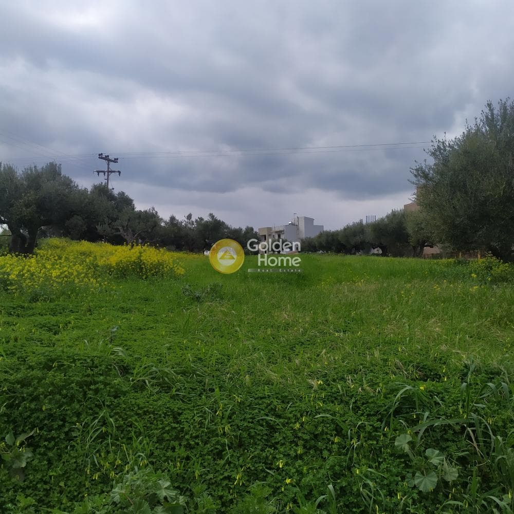 Building Plot in Vasileies, Archanes — Photo 3 of 15