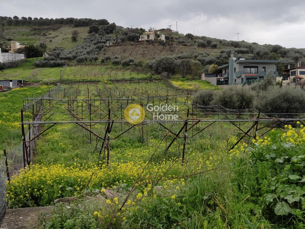 Οικόπεδο στην Μαλάδες, Τέμενος — Φωτογραφία 3 από 3