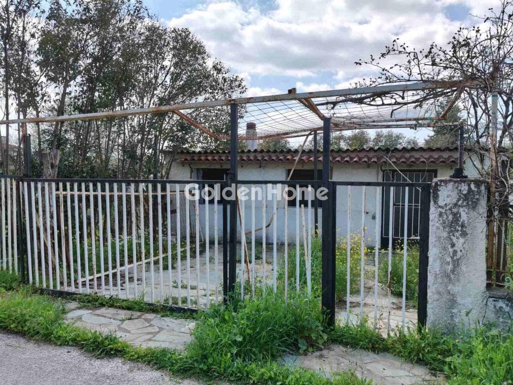 Οικόπεδο στην Άνω Μπαλάνα, Παλλήνη — Φωτογραφία 6 από 18