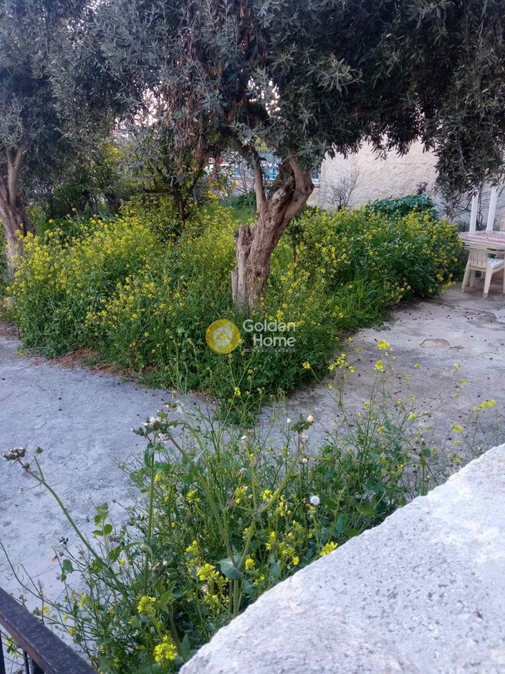 Οικόπεδο στην Πυργούθι, Αχαρνές — Φωτογραφία 2 από 9