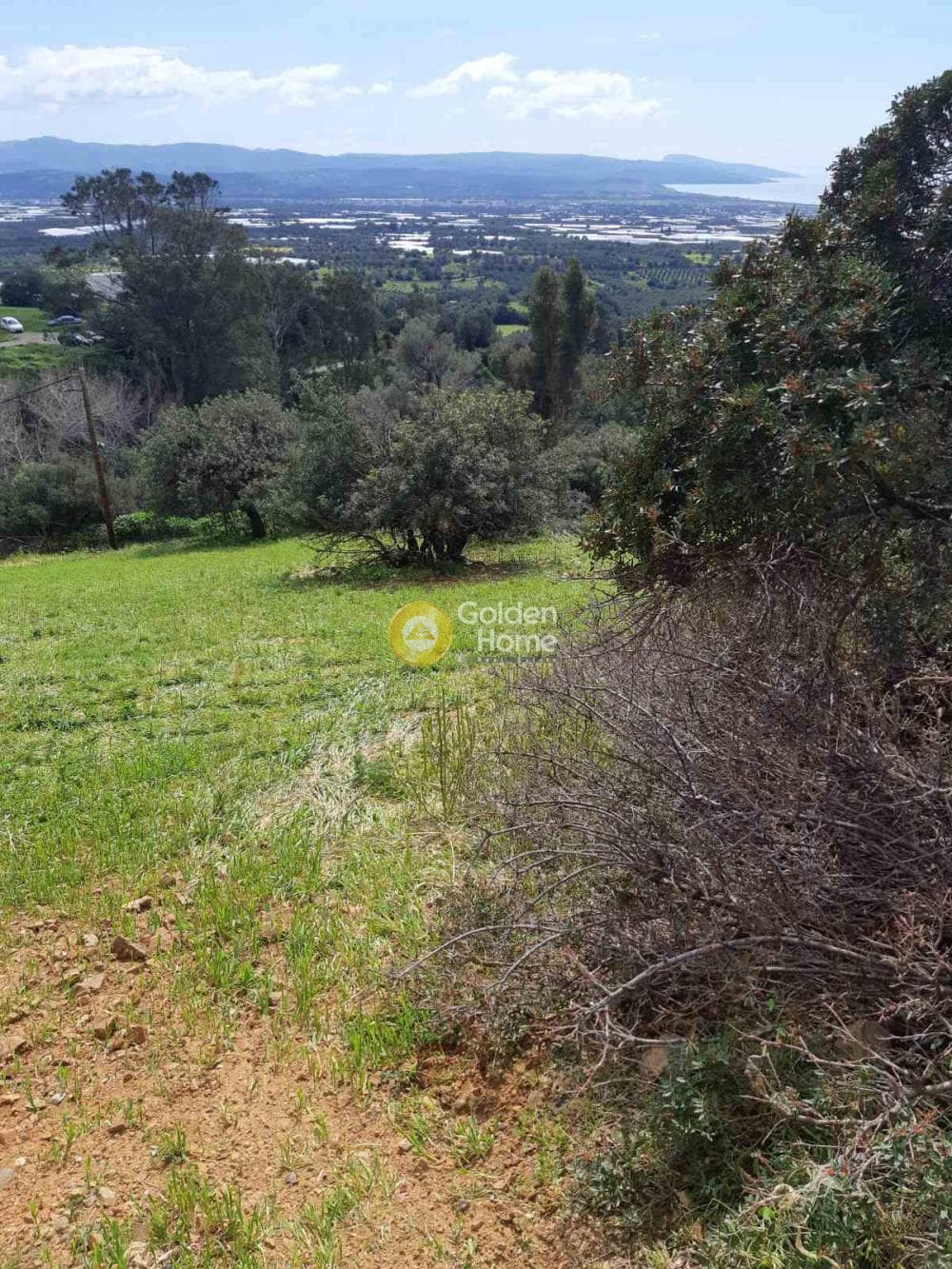 Οικόπεδο στην Κλήμα, Τυμπάκι — Φωτογραφία 2 από 5