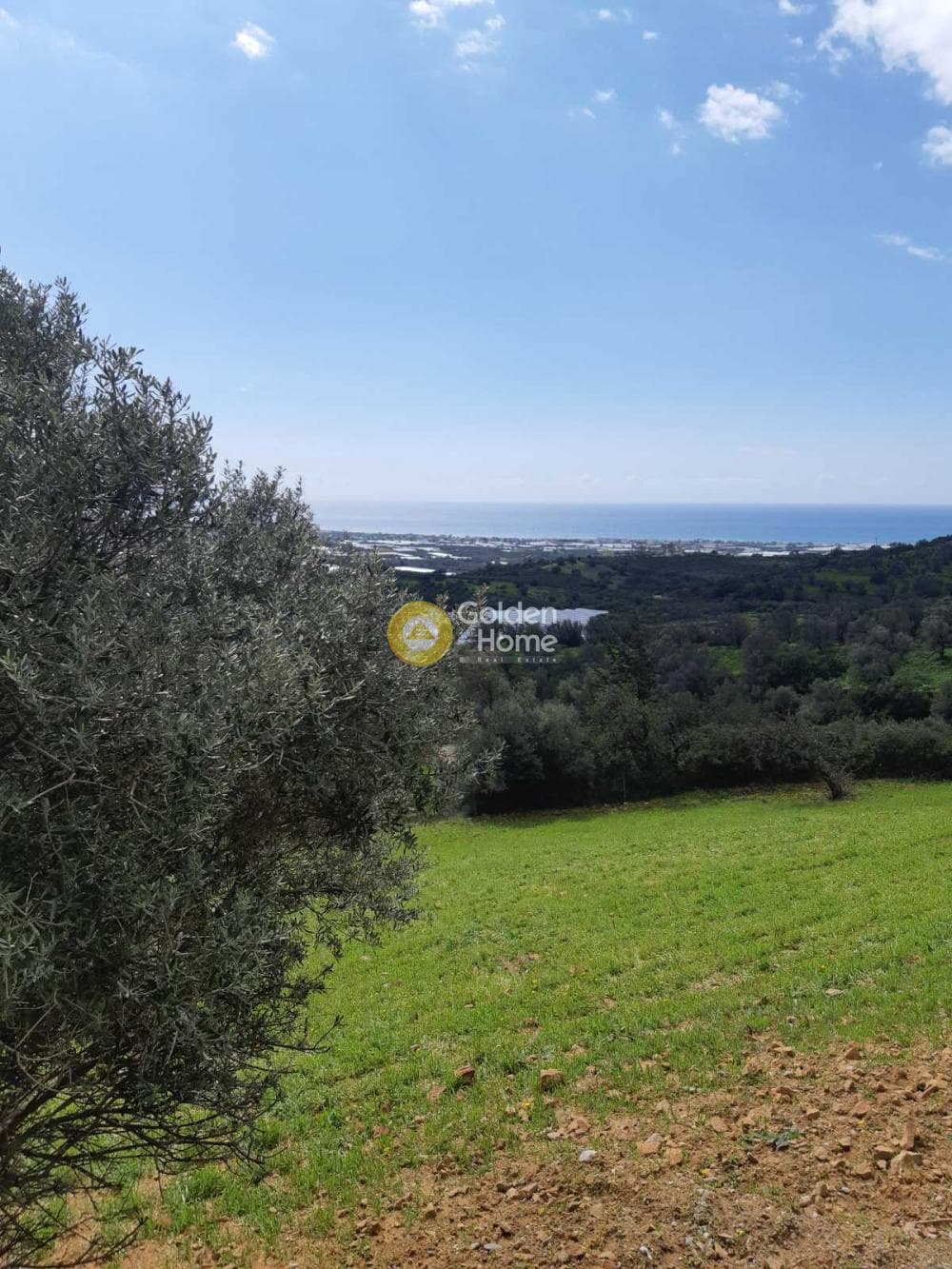 Οικόπεδο στην Κλήμα, Τυμπάκι — Φωτογραφία 1 από 5