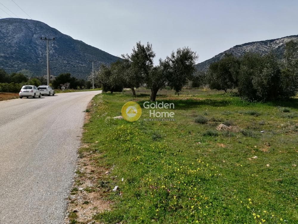 Parcel in Center, Koropi — Photo 5 of 16