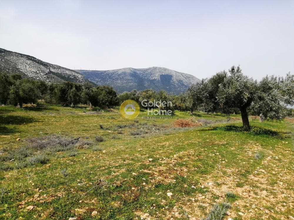 Parcel in Center, Koropi — Photo 8 of 16