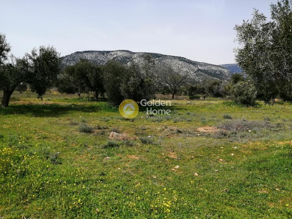 Parcel in Center, Koropi — Photo 3 of 16