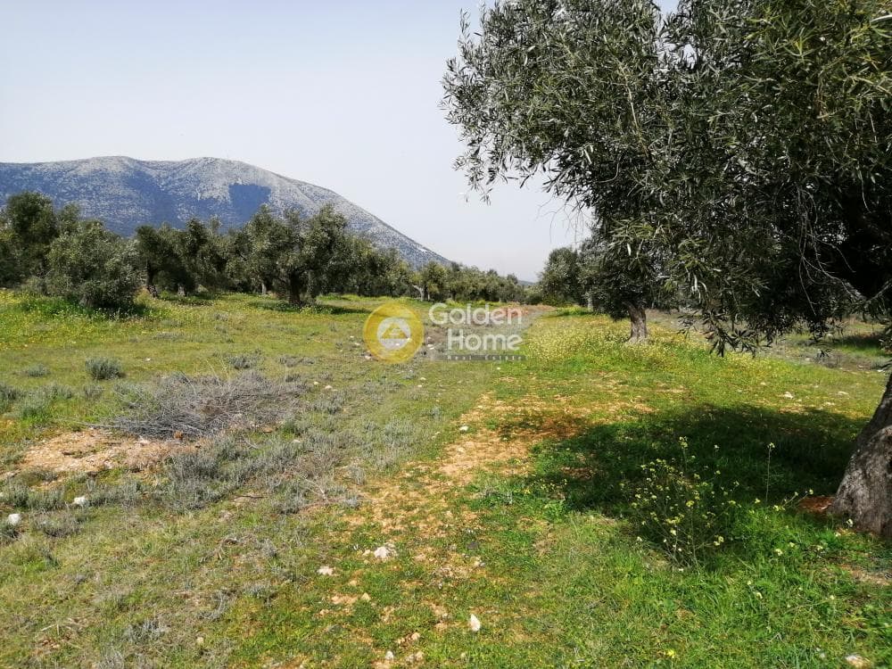 Parcel in Center, Koropi — Photo 9 of 16