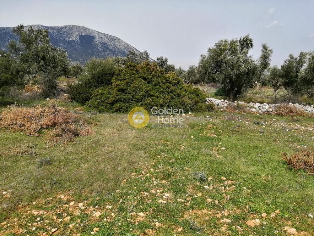 Parcel in Center, Koropi — Photo 13 of 16