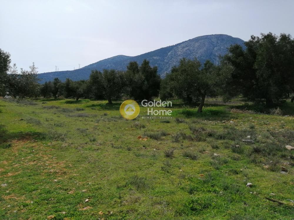 Parcel in Center, Koropi — Photo 11 of 16
