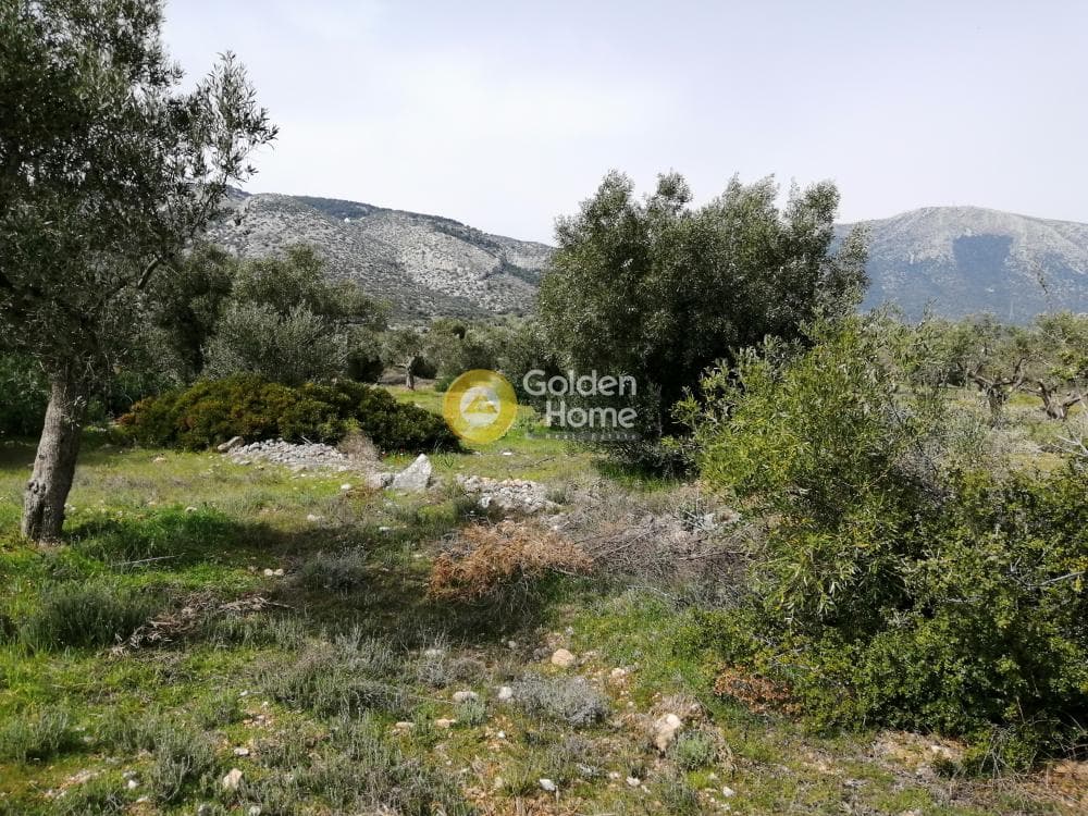 Parcel in Center, Koropi — Photo 12 of 16