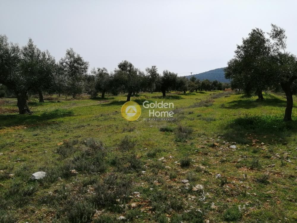 Parcel in Center, Koropi — Photo 2 of 16