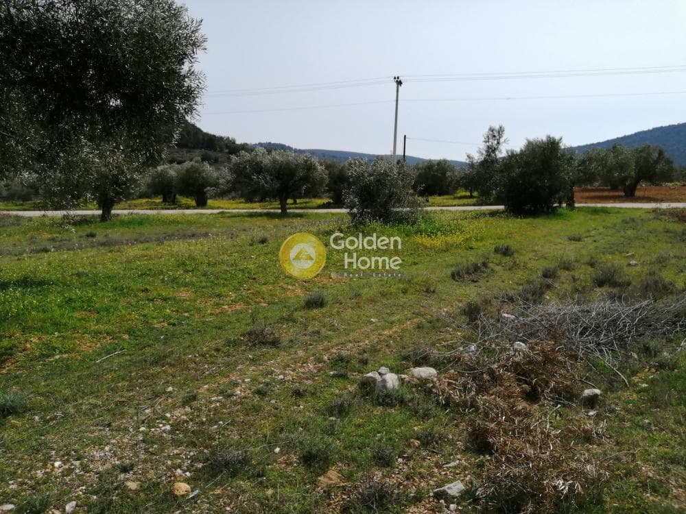 Parcel in Center, Koropi — Photo 1 of 16