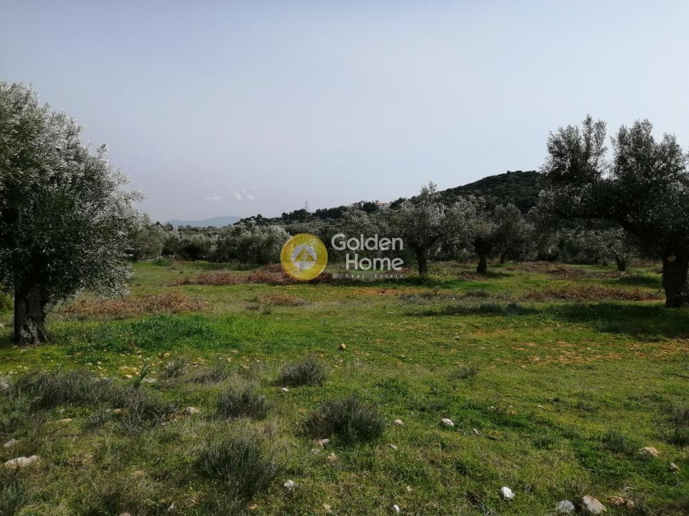 Parcel in Center, Koropi — Photo 14 of 16
