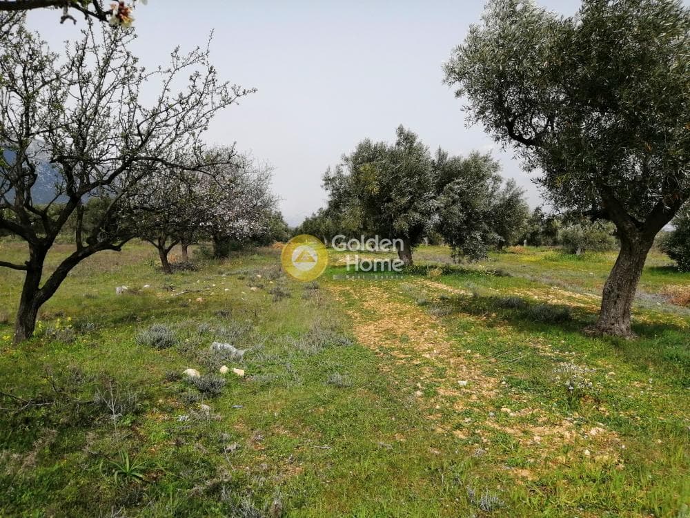 Parcel in Center, Koropi — Photo 15 of 16