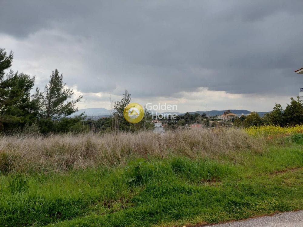 Οικόπεδο στην Νέα Παλλήνη, Παλλήνη — Φωτογραφία 3 από 8