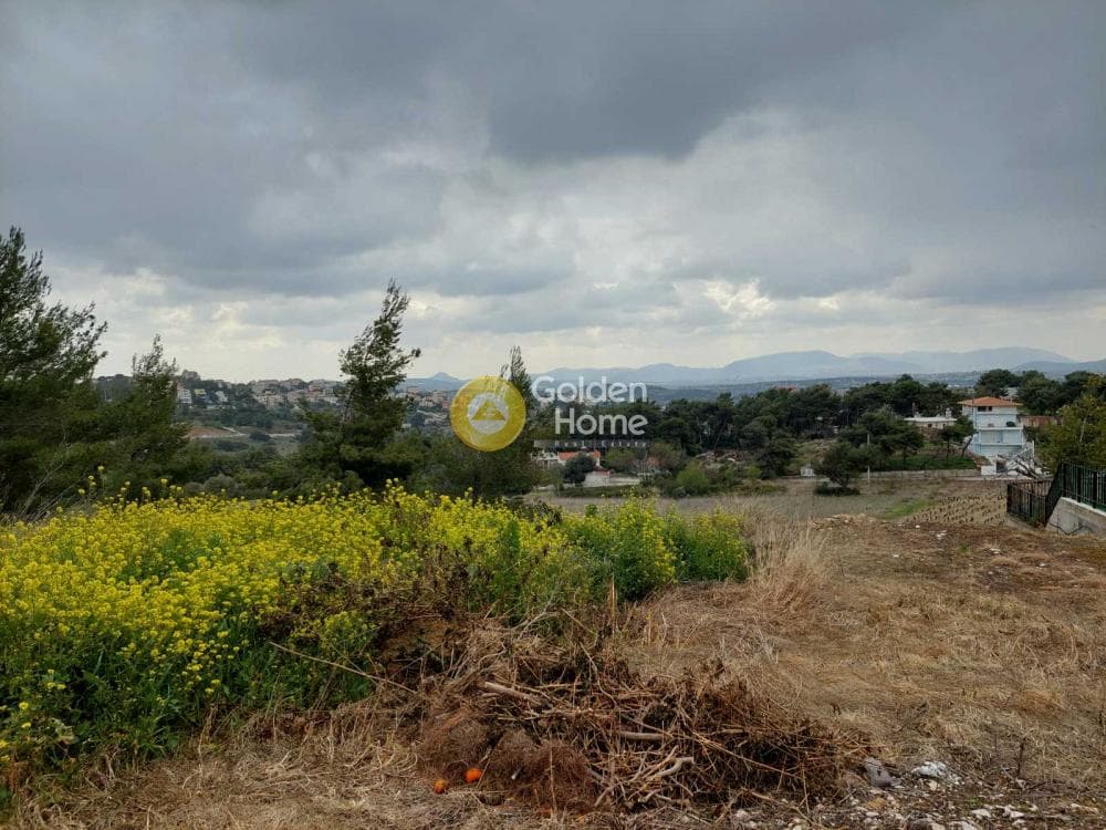 Οικόπεδο στην Νέα Παλλήνη, Παλλήνη — Φωτογραφία 4 από 8