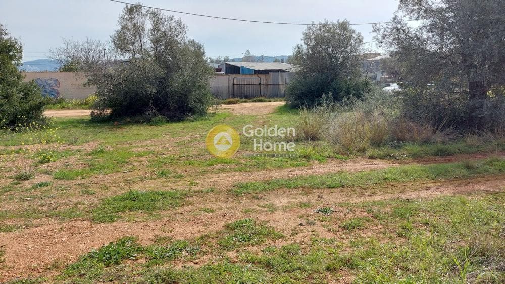 Οικόπεδο στην Αγία Τριάδα, Παιανία — Φωτογραφία 1 από 8