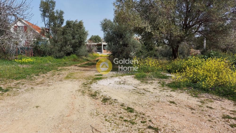 Οικόπεδο στην Αγία Τριάδα, Παιανία — Φωτογραφία 4 από 8