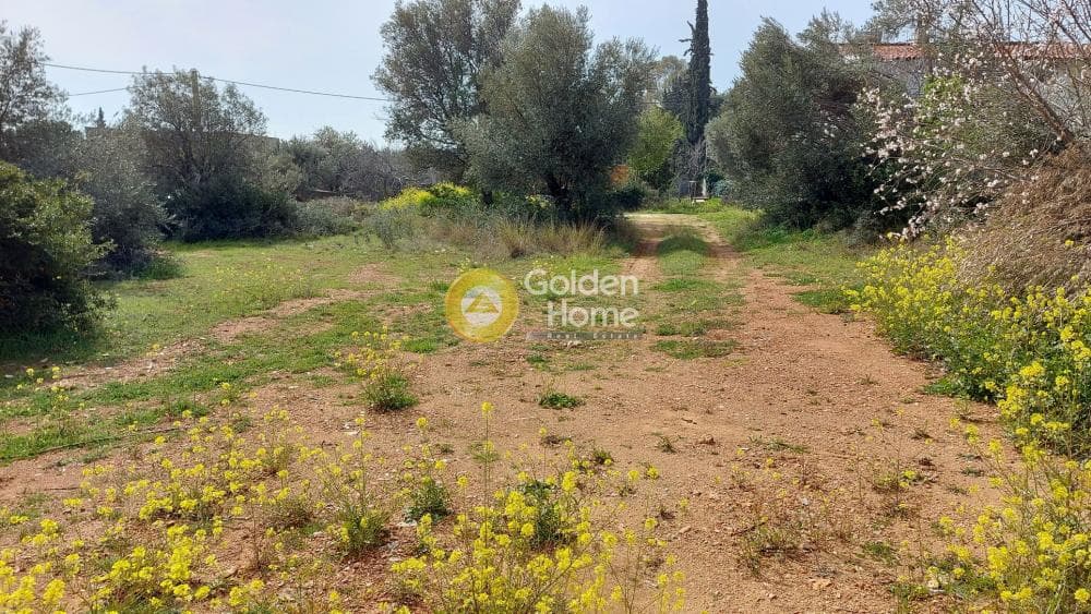 Οικόπεδο στην Αγία Τριάδα, Παιανία — Φωτογραφία 6 από 8