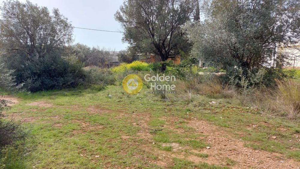 Οικόπεδο στην Αγία Τριάδα, Παιανία — Φωτογραφία 8 από 8