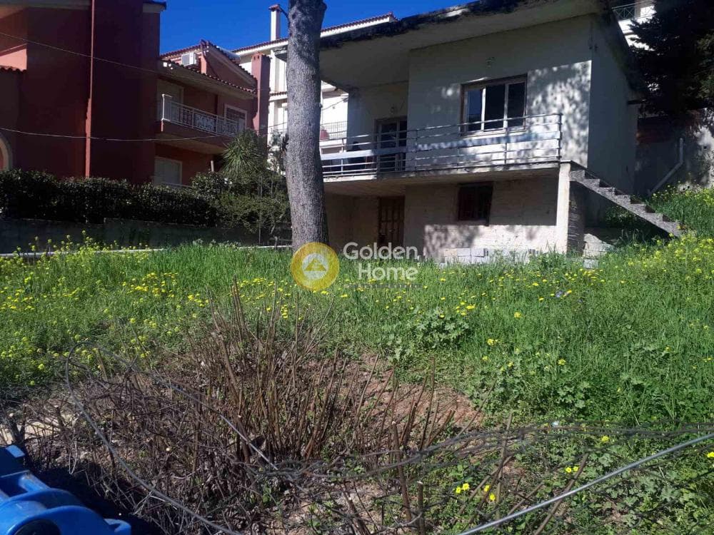 Οικόπεδο στην Καπιτένια, Άγιος Στέφανος — Φωτογραφία 5 από 10